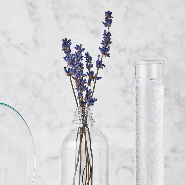 Clear glass bottle with dried purple lavender stems beside a tall glass tube with sparkling water