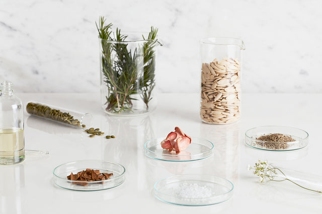 Various natural ingredients including rosemary, seeds, dried mushroom, salt, and oil in glass containers on white surface