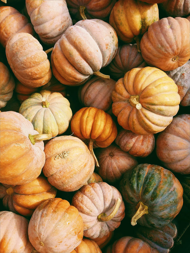 Pile of variously sized and coloured pumpkins with orange, green, and pale tones