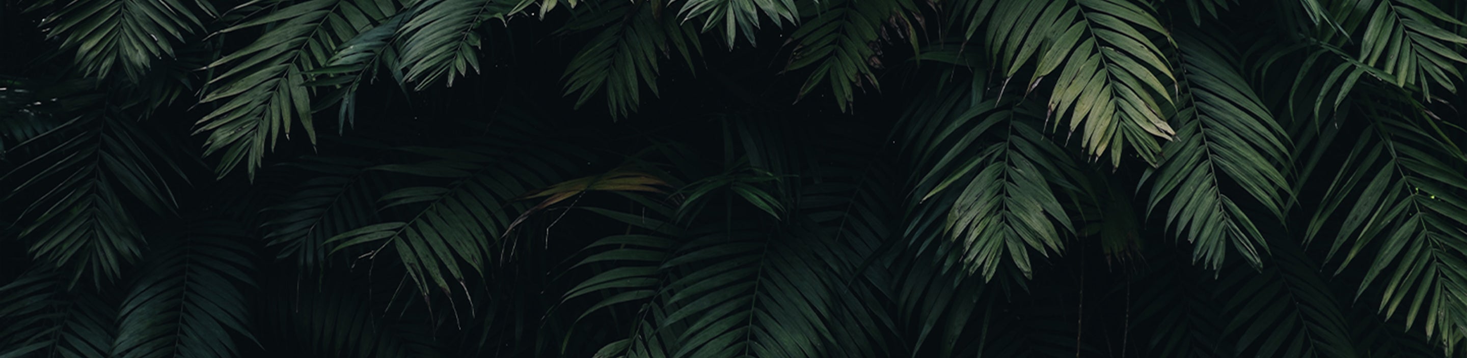 desktop image
