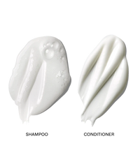 Two white creamy and foamy textured swatches representing shampoo and conditioner products