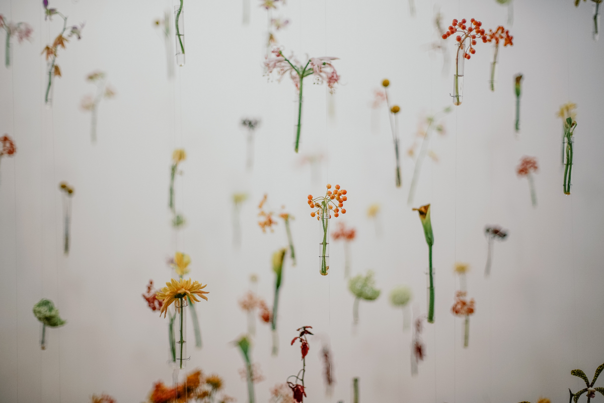 Various colourful flowers suspended in clear glass test tubes against a white background