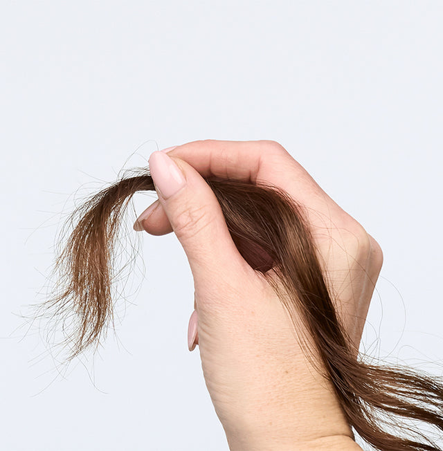 Is Your Hair Damaged?