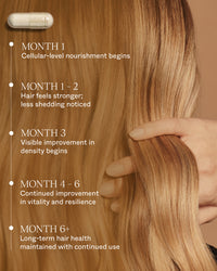 Hair Longevity Supplement UK/FR