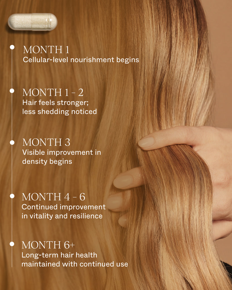 Hair Longevity Supplement UK/FR