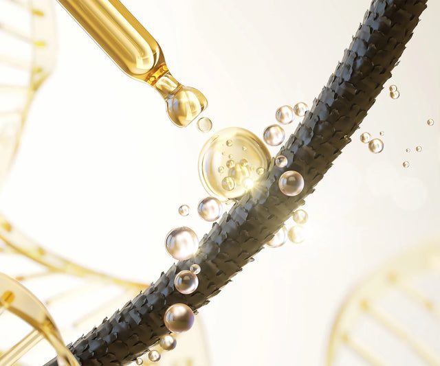 BEGIN YOUR HAIR LONGEVITY JOURNEY