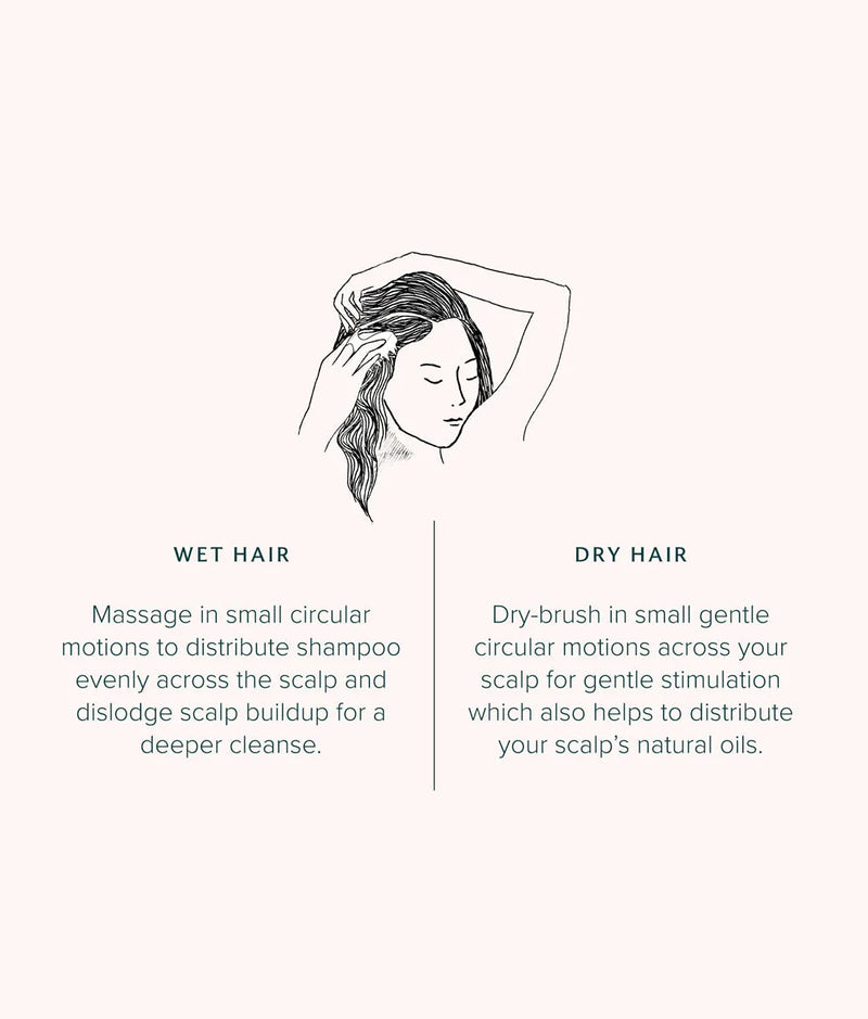 Illustration showing scalp massage technique with circular motions for wet and dry hair care